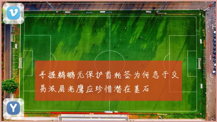手握鹈鹕无保护首轮签为何急于交易浓眉老鹰应珍惜潜在基石